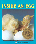Inside an Egg