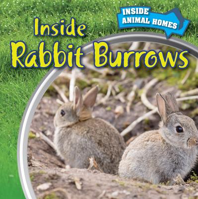 Inside Rabbit Burrows - Chung, Liz