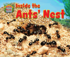 Inside the Ants' Nest