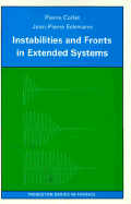 Instabilities and Fronts in Extended Systems