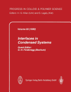 Interfaces in Condensed Systems