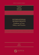 International Human Rights: Problems of Law, Policy and Practice