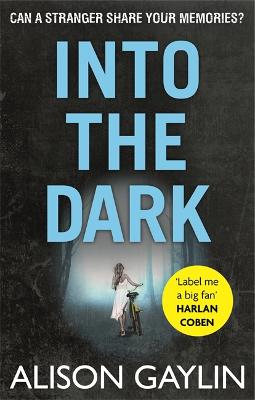Into the Dark - Gaylin, Alison
