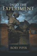 Into the Experiment