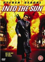 Into the Sun - mink