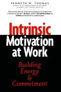 Intrinsic Motivation at Work: What Really Drives Employee Engagement