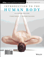 Introduction to the Human Body