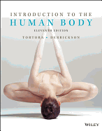 Introduction to the Human Body