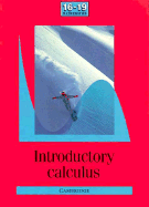 Introductory Calculus