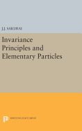 Invariance Principles and Elementary Particles