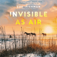 Invisible as Air