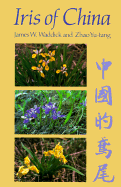 Iris of China