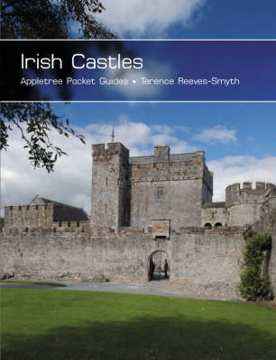 Irish Castles - Reeves-Smith, Terence