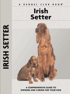 Irish setter