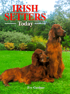 Irish Setters Today - Gardner, Eve