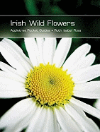 Irish wild flowers