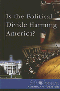 Is the Political Divide Harming America?