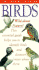 Birds of Britain and Northern Europe (Collins Wild Guide)