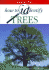 Collins How to Identify Trees (Collins How to Identify Guides)
