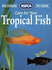 The Official Rspca Pet Guide-Care for Your Tropical Fish