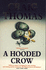 Hooded Crow