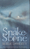 The Snake-Stone (Collins Tracks)