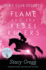 Flame and the Rebel Riders (Pony Club Secrets) (Book 9)