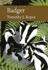 Badger (the New Naturalist Library)