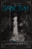 Sanctum: Book 2 (Asylum)