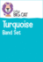 Turquoise Band Set: Band 07/Turquoise