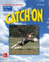 Merrill Reading Program, Catch on Skills Book, Level C: Skills Book Level C (Merrill Linguistic Rdg Prog)