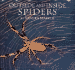 Outside and Inside Spiders