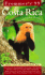 Frommer's 99 Costa Rica (Frommer's Complete Guides)