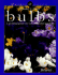 Bulbs: a growing guide for easy, colorful gardens