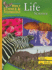 Holt Science and Technology Student Edition Life Science 2007