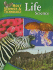 Holt Science and Technology: Life Science (Holt Science & Technology: Life Science)