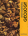 Understanding Geology