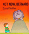 Not Now, Bernard (a Sparrow Book)
