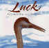 Luck (Outdoor Adventures)