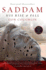Saddam: His Rise and Fall-the Defining Biography of Iraq's Elusive Tyrant and His Secretive World