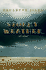 Stormy Weather: a Novel
