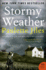 Stormy Weather: a Novel (P.S. )