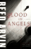 Blood of Angels: a Novel
