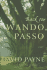 Back to Wando Passo: a Novel