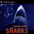 Sharks (Smithsonian)