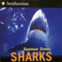 Sharks: a Nonfiction Full-Color Picture Book for Young Scientists (Ages 6-10) About Shark's Behavior and Habitat