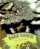 Barn Dance