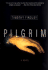 Pilgrim: a Mystery of Immortality and Memory-the Man Who Cannot Die Meets Carl Jung