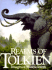 Realms of Tolkien: Images of Middle-Earth