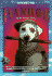 Wishbone Classic #12 Ivanhoe